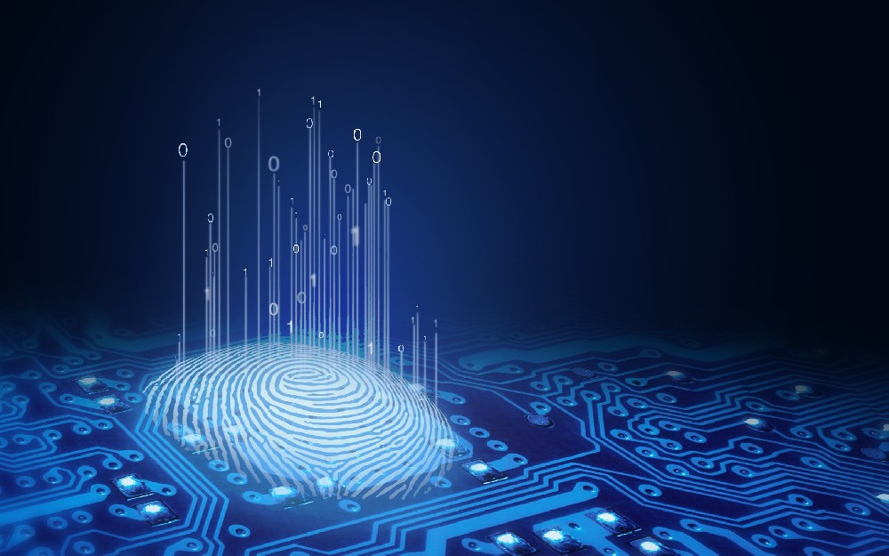 ITシステムの導入・保守支援